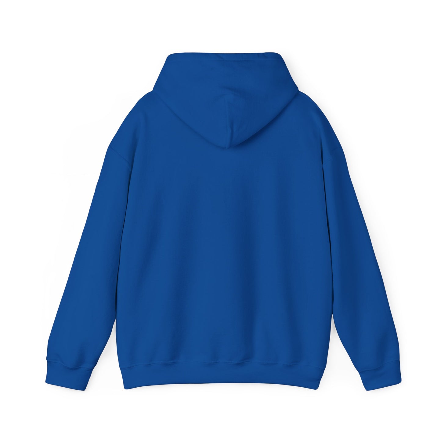 Choose Jesus Choose Joy Hoodie