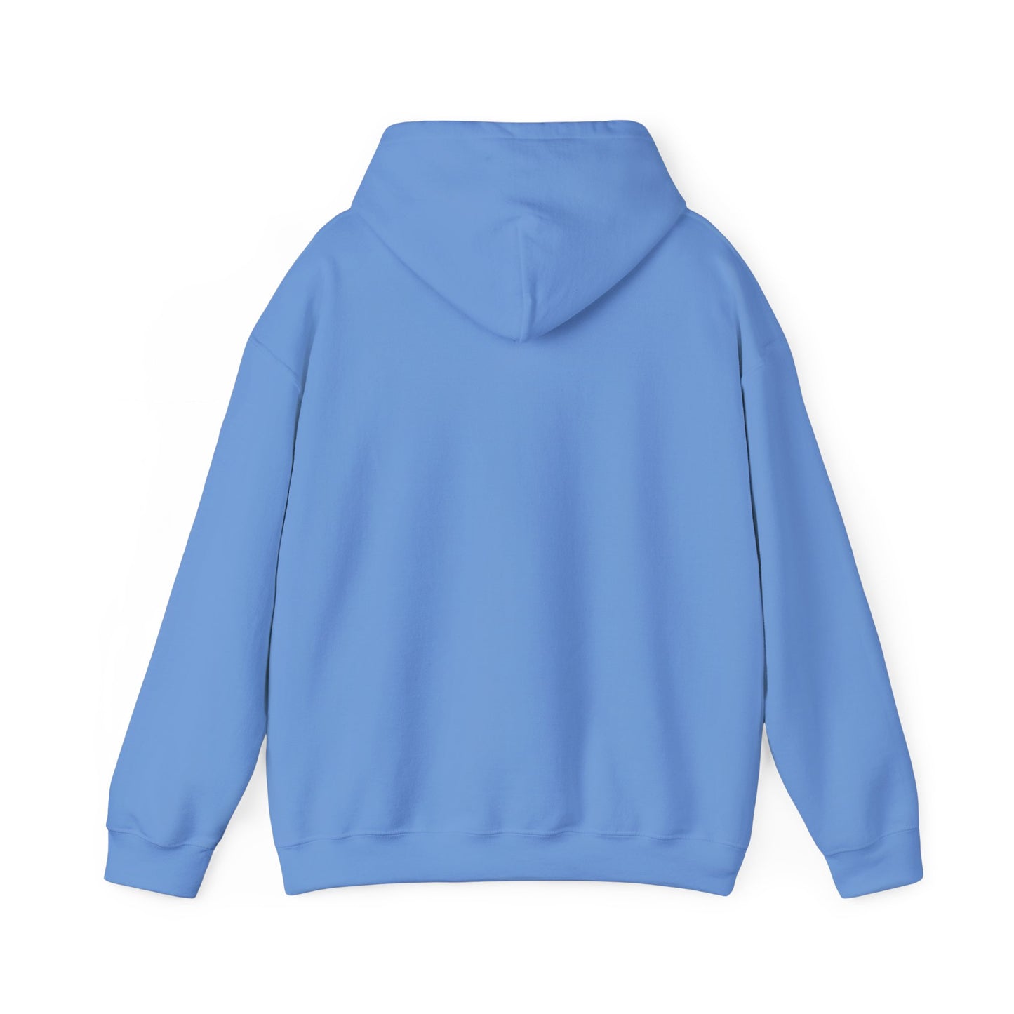 Choose Jesus Choose Joy Hoodie