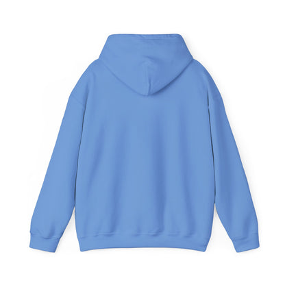 Choose Jesus Choose Joy Hoodie